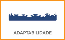 Adaptabilidade