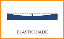 Elasticidade